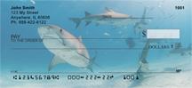 Sleek Sharks