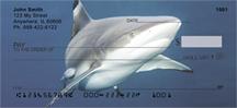 Blacktip Sharks