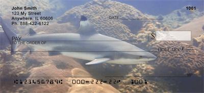 Blacktip Sharks
