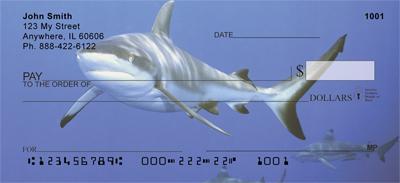 Blacktip Sharks