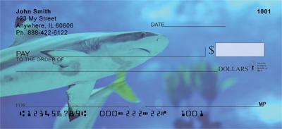 Blacktip Sharks