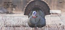 Wild Turkey