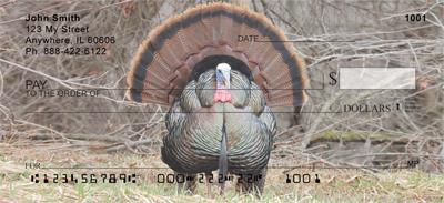 Wild Turkey