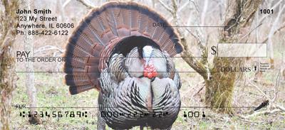 Wild Turkey