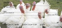 White Turkeys