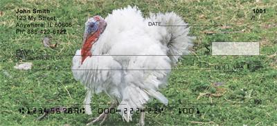 White Turkeys