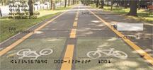 Life In The Bike Lane