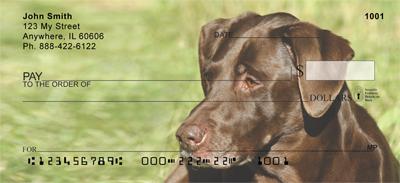 Chocolate Lab Relaxing
