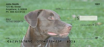 Chocolate Lab Relaxing