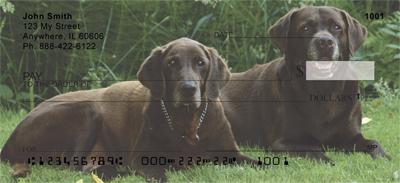 Chocolate Lab Relaxing