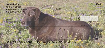 Chocolate Lab Relaxing