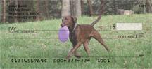 Playful Chocolate Labs