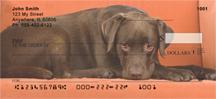 Soulful Chocolate Labs
