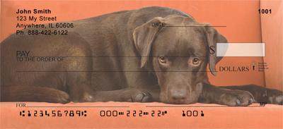 Soulful Chocolate Labs