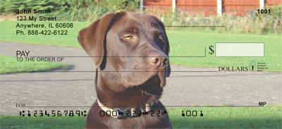 Soulful Chocolate Labs