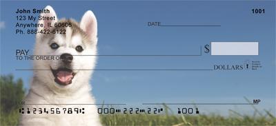 Husky Puppies