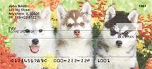 Husky Puppy Pals