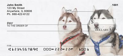 Huskies At Work