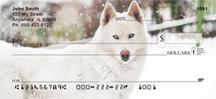Huskies In The Snow