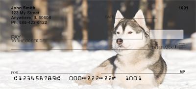 Huskies In The Snow
