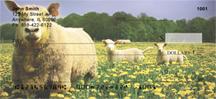 Sheeps and Lambs