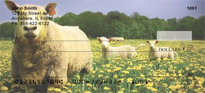 Sheeps and Lambs
