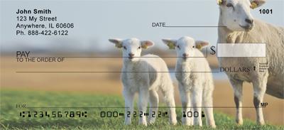 Sheeps and Lambs