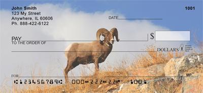 Big Horned Sheep