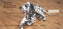 Cute Dalmatians