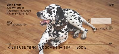 Cute Dalmatians
