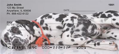 Picture Perfect Dalmatians