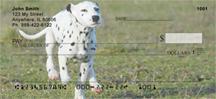 Playful Dalmatians