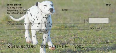 Playful Dalmatians