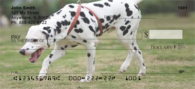 Playful Dalmatians