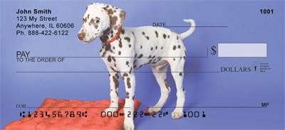 Dalmatian Pup