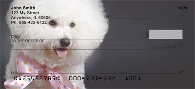 Bichon Frise Portrait