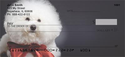 Bichon Frise Portrait
