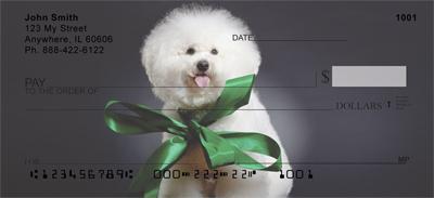 Bichon Frise Portrait