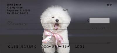 Bichon Frise Portrait