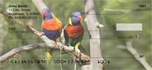 Parrot Couples