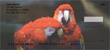 Parrots In Love