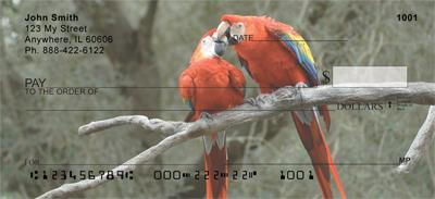 Parrots In Love