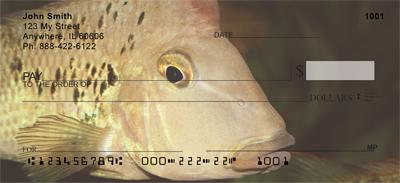 Redhead Cichlid