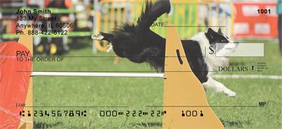 Agile Border Collies