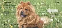 Chow Chow On The Grass