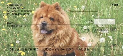 Chow Chow On The Grass