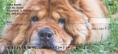 Chow Chow On The Grass