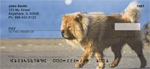 Chow Chow On The Move