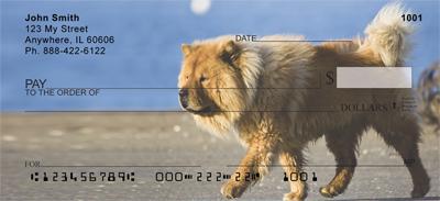 Chow Chow On The Move