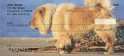 Chow Chow On The Move